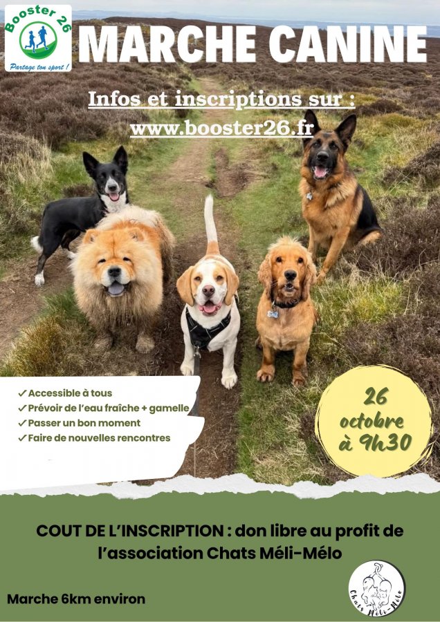 1000033659.jpg, oct. 2025 1000033659.jpg